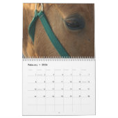 Equine Calendar Kalender (Feb 2026)