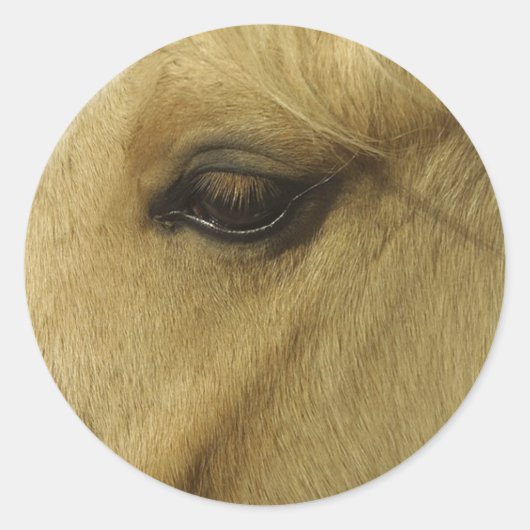 Equine Eye Ronde Sticker (Voorkant)