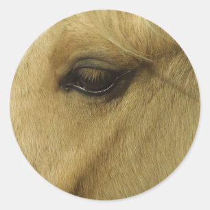 Equine Eye Ronde Sticker