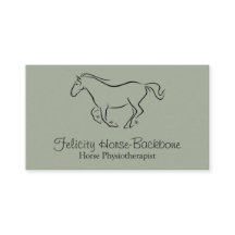 Equine fysiotherapeut