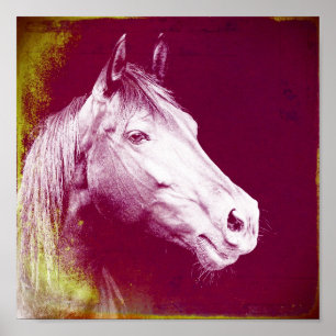 Equine Poster