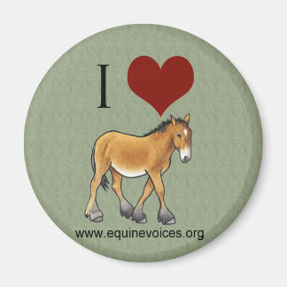 Equine Voices I Love Gulliver Green Magnet Magneet