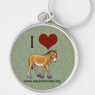 Equine Voices I Love Gulliver Green Sleutelhanger