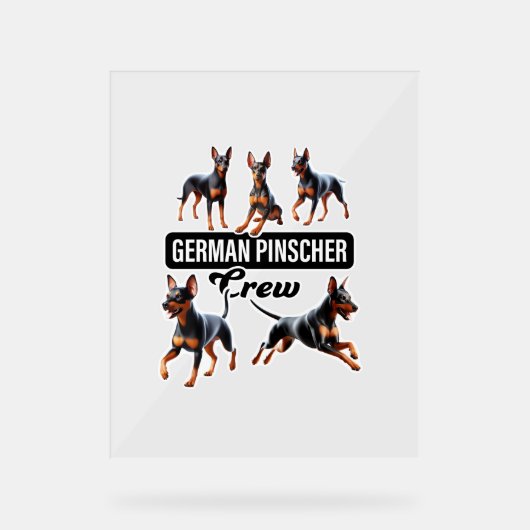 Équipage allemand Pinscher (Recto)