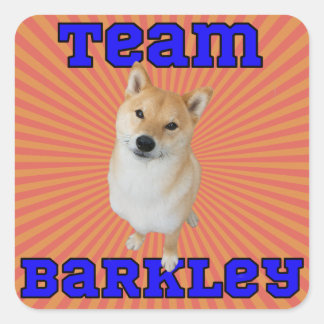 Équipe Barkley - Stickers Carré, Glossy