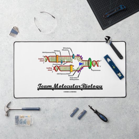 Équipe de biologie moléculaire génétique de réplic (Poste de travail)