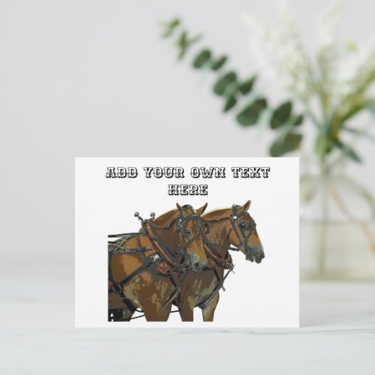 Équipe de chevaux belges Carte postale tout usage (Debout devant)