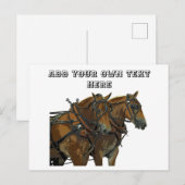 Équipe de chevaux belges Carte postale tout usage (Devant / Derrière)