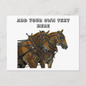 Équipe de chevaux belges Carte postale tout usage (Devant)