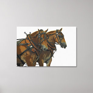 Équipe de trait de cheval belge sur toile tendue