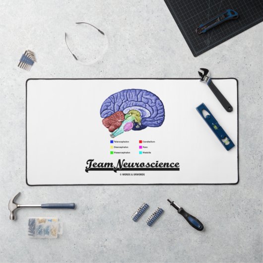 Équipe Neurosciences Anatomie du Cerveau Attitude (Poste de travail)