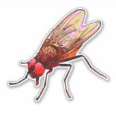 Équipement de salle de bain autocollant de toilett (Devant)