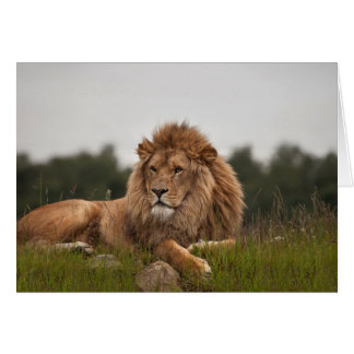 Équipez le son été une longue journée