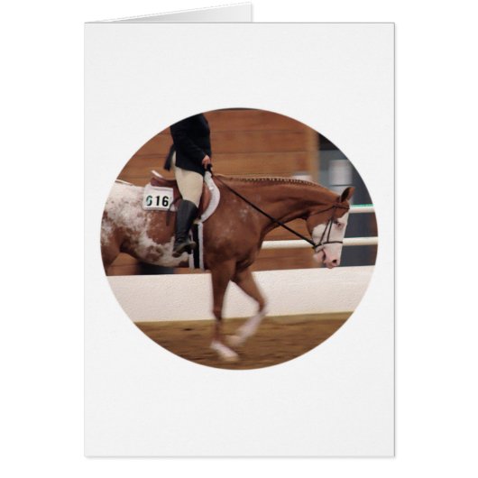 équitation anglaise (Devant)