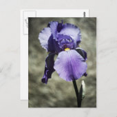 Er is Beauty Briefkaart (Voorkant / Achterkant)