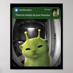 Er is beweging bij de voordeur Funny Cat UFO Meme Poster