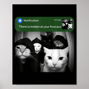 Er is beweging bij de voordeur grappige kat bewegi poster