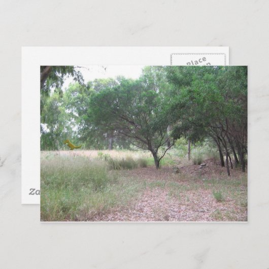 Er is een dinosaurus in het bos... briefkaart (Voorkant / Achterkant)