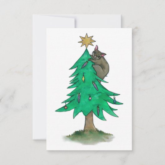 Er is een Possum in de kerstboom (Voorkant)