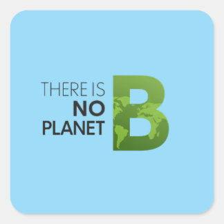 Er is geen planeet B - groene aarde typografie Vierkante Sticker