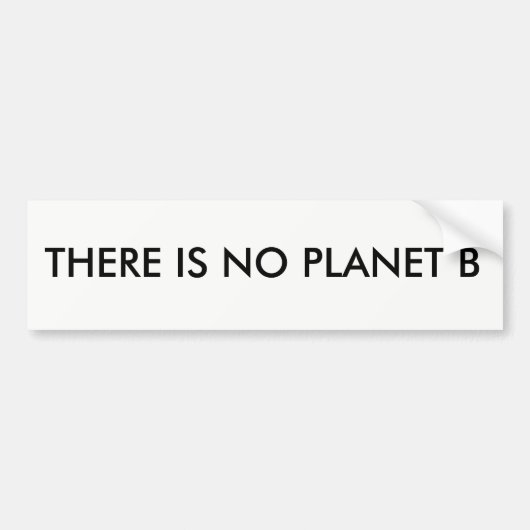 ER IS GEEN PLANET B-BUMPERSTICKER BUMPERSTICKER (Voorkant)