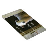 Er is geen plek waar God geen schapen is Magneet (Rechterzijde)