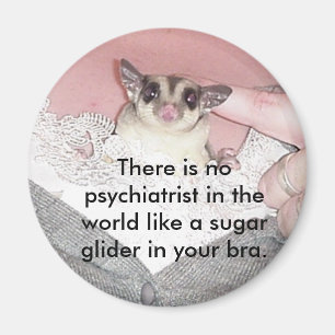 Er is geen psychiater in... magneet