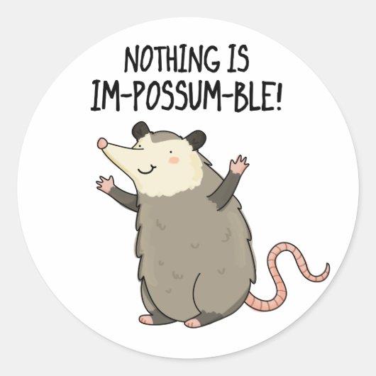 Er is niets Im-possum-ble Funny Possum Pun Ronde Sticker (Voorkant)