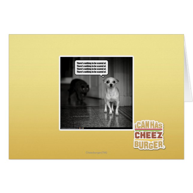 Er is niets om bang voor te zijn (Voorkant Horizontaal)