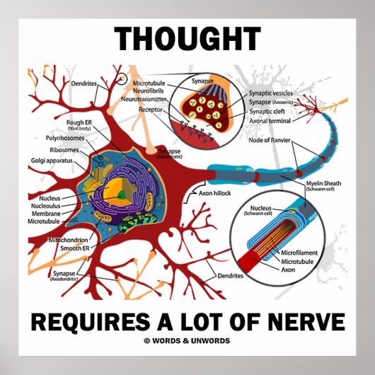 Er is veel zenuwen nodig (neuron/synapse) poster (Voorkant)