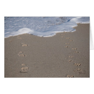 Er kan geen tijd worden bespaard. Besteed het vers