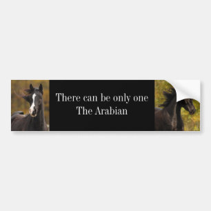 Er kan maar één zijn... bumpersticker