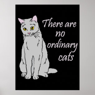 Er zijn geen gewone katten - grijze kat poster