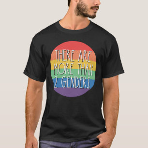Er zijn meer dan 2 Genders Rainbow LGBTQ T-shirt
