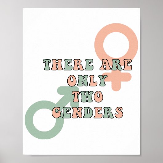 Er zijn slechts twee genders poster (Voorkant)