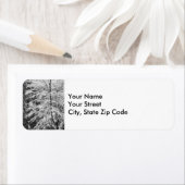 Érable En étiquette de adresse De Neige (En situation)