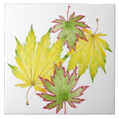 Érable japonais sur carreaux en céramique (2) (Devant)