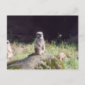 erdmann briefkaart (Voorkant)