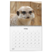 Erdmännchen02 Kalender (Mar 2027)