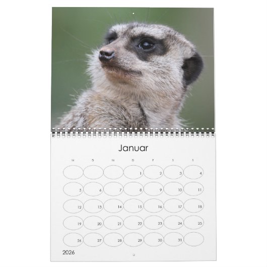Erdmännchen02 Kalender (Jan 2026)