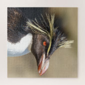 Erect-crested pinguïn legpuzzel (Horizontaal)