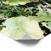 erfgoed poster (Hoek)