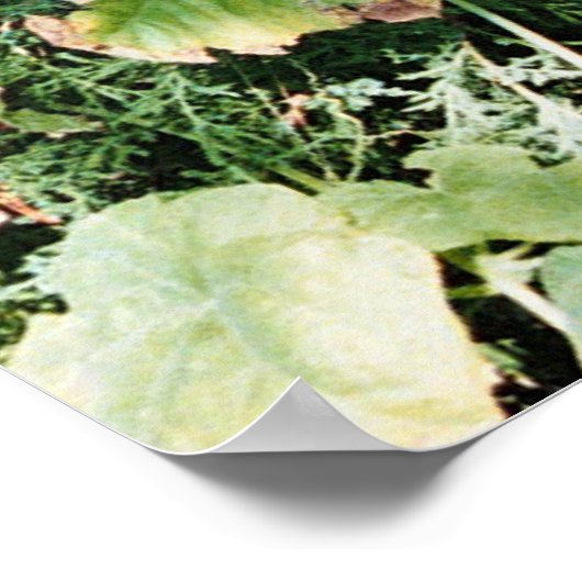 erfgoed poster (Hoek)