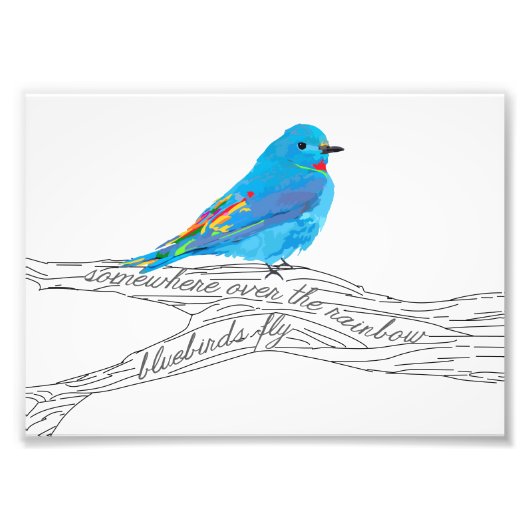 Ergens over de Rainbow Bluebird Print Foto Afdruk (Voorkant)