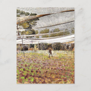 Eric Ravilious artwork, aardbeiennetten Briefkaart