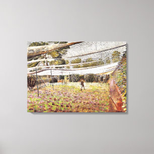 Eric Ravilious artwork, aardbeiennetten Canvas Afdruk