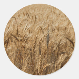 Erick, Oklahoma Route 66 Ronde Sticker