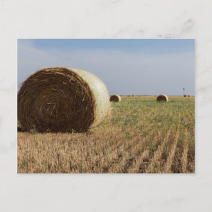 Erick, Oklahoma, Verenigde Staten - Route 66 Briefkaart