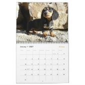 Eridox 2016 Dachshund Calendar Kalender (Jan 2027)