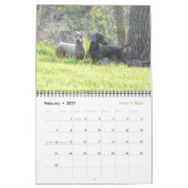 Eridox 2016 Dachshund Calendar Kalender (Feb 2027)